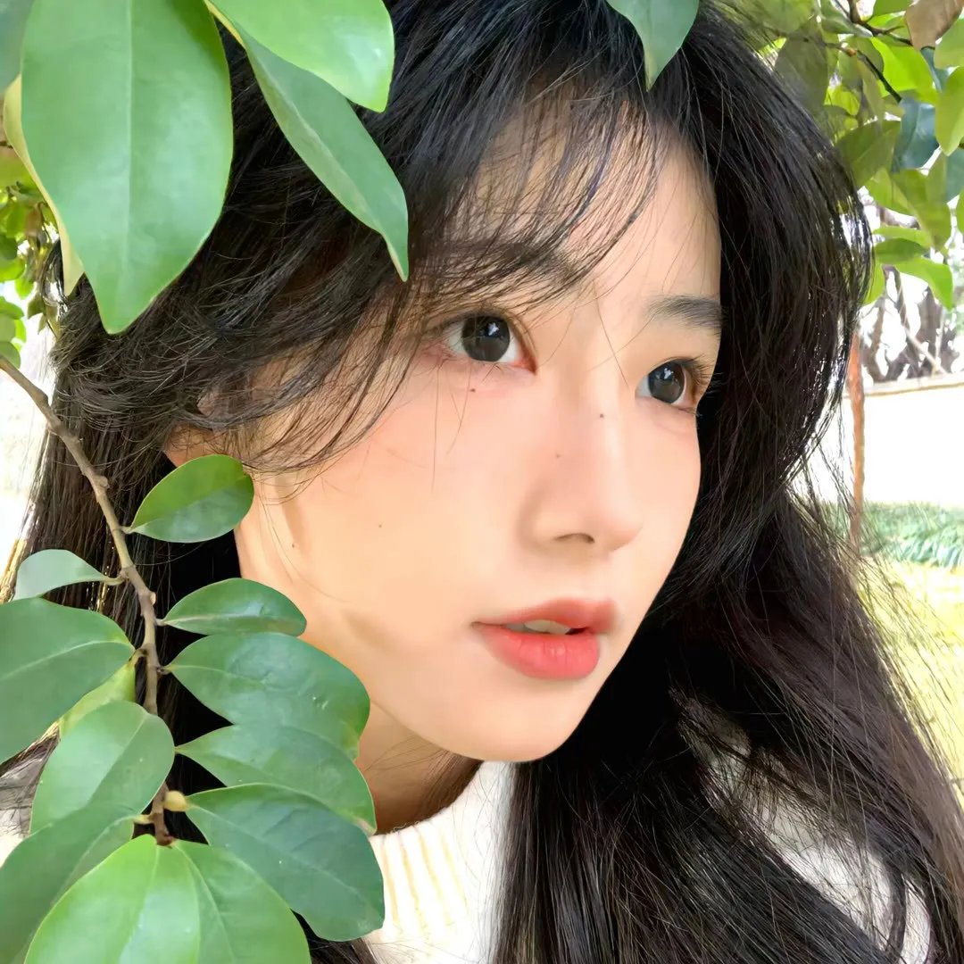 马克辛的归来